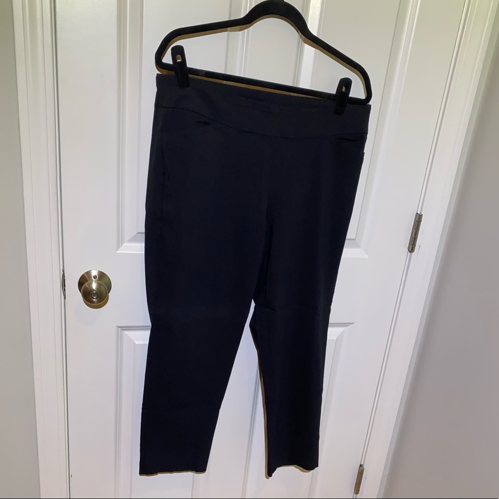 1x petite crop pants